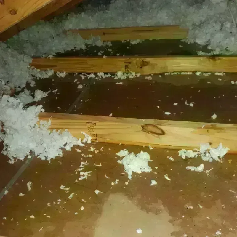 Attic Water Damage in Mineral Wells, WV